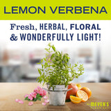 Mrs. Meyer's All-Purpose Cleaner Spray, Lemon Verbena, Pack of 3