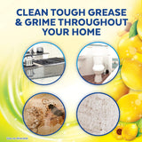 Lysol Multi-Surface Cleaner, Sanitizing and Disinfecting 90OZ